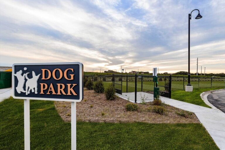 Mandel_HackneyHouse_DogPark1-web-1024x683