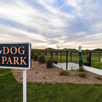 Mandel_HackneyHouse_DogPark1-web-1024x683